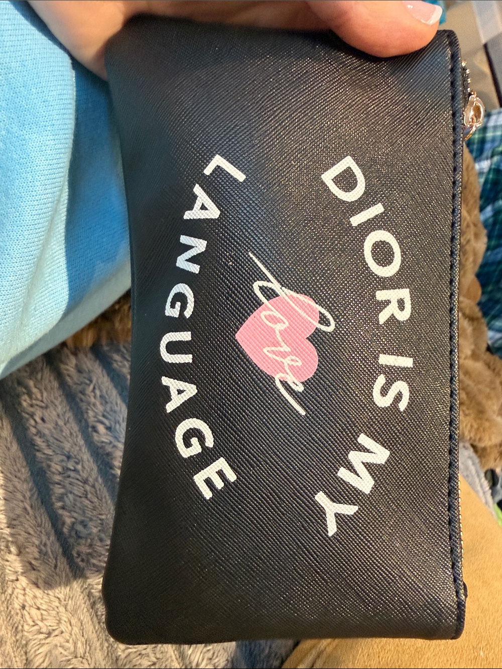 Dior is my language new pouch